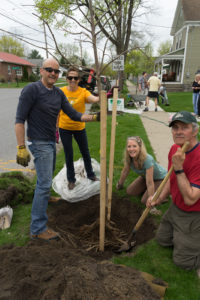 Tree Toga Planting Crew 2