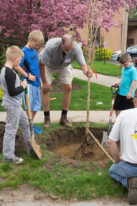 Tree Toga Planting Crew 1